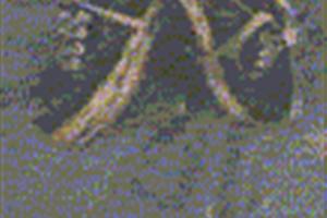 "De la calle a la vida"