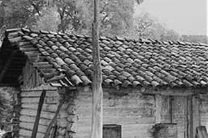 www.fundacion-oaxaca.org