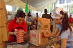 ¡Voluntarios de Cemefi en acción!