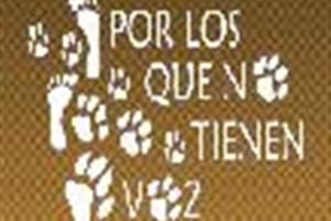 por los que no tienen voz