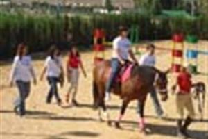 noticia de prueba 2