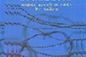 Informe Anual 2002 AI