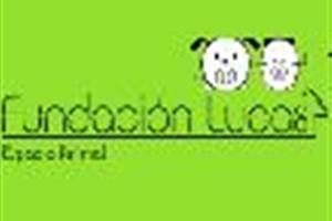 fundacion luca