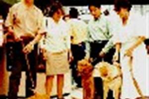 Por perros guia