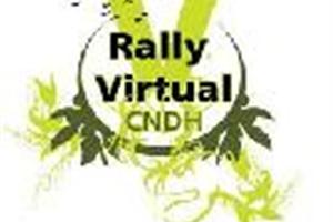 rally virtual