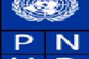 pnud