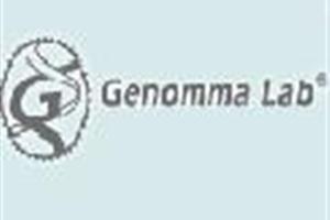 Voluntarios construyendo