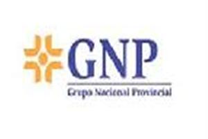 GNP