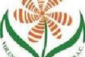 Asocición Voluntad contra el cáncer