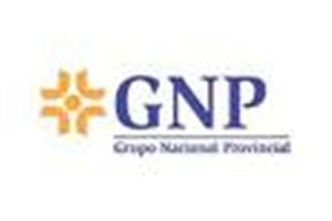 gnp