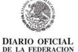 consulta