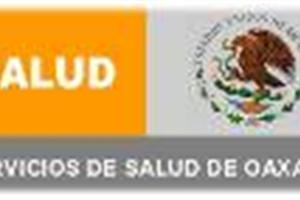 Gobierno y voluntariado
