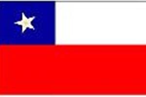 Voluntarios salen al rescate del museo de Quillagua en Chile