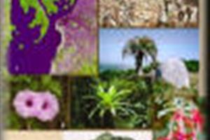 Promueven la conservación y preservación