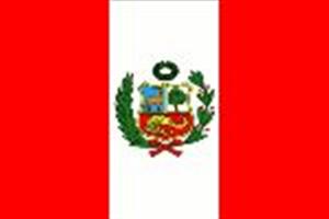 Voluntarios internacionales renuevan compromiso de contribuir al progreso de Perú.