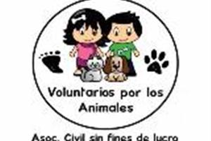 “Voluntarios por los Animales”