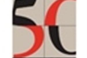 Curso para la profesionalización de las OSC en mayo