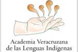 Voluntariado profesional