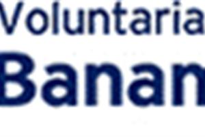 Voluntariado Banamex
