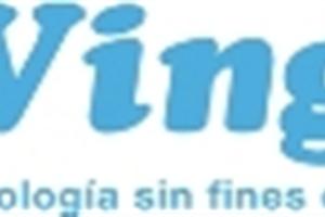 Webinario: Imagen y Comunicación Online de Wingu