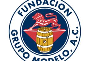 voluntariado Grupo Modelo