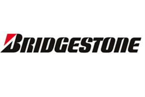 Bridgestone Voluntariado Corporativo