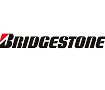 Bridgestone Voluntariado Corporativo