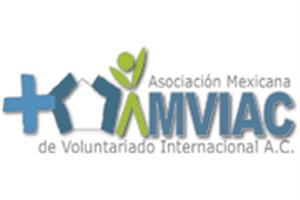 Campamentos voluntariado