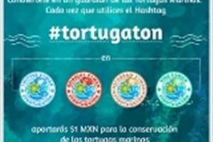 Tortugatón4