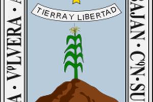 Voluntariado juvenil Morelos