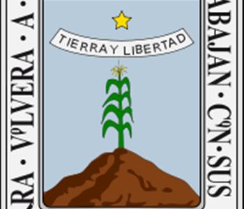 Voluntariado juvenil Morelos