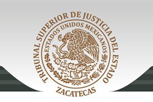 Voluntariado TSJEZ