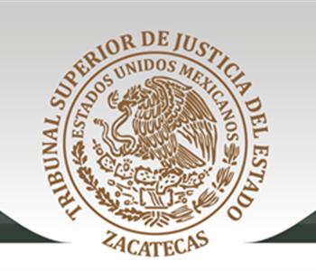 Voluntariado TSJEZ