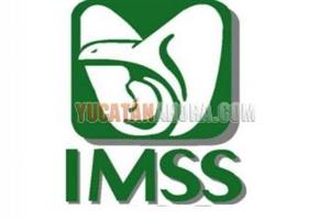 IMSS