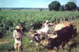 A favor de las comunidades rurales