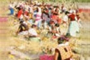 Por la salud en zonas marginadas
