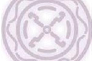 Expresiones artísticas