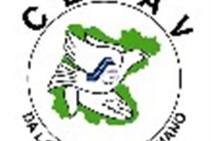 ¡Voluntarios en acción!