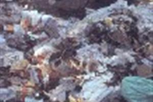 Reciclaje y filantropía