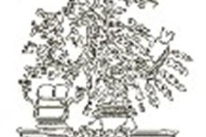 Salvaguardando vidas