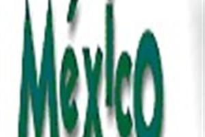 Voluntarios extranjeros