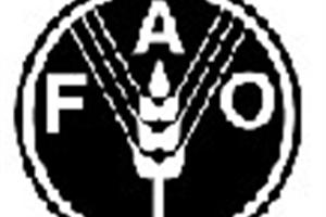 Por la seguridad alimentaria