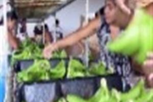 Notimex/Foto Luis López. El propósito: alentar la productividad en México.