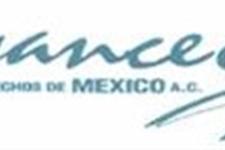 Asesor de comercialización y marketing