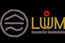 Coordinador de proyectos 