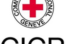 Responsable de diplomacia humanitaria y gestión de información