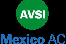 Oficial de salud