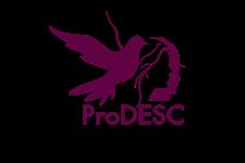 Responsable del programa de personas defensoras de ddhh