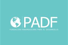 Coordinador contable