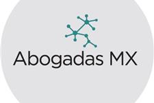 Coordinadora de beca abogadas mx y programa de servicio social